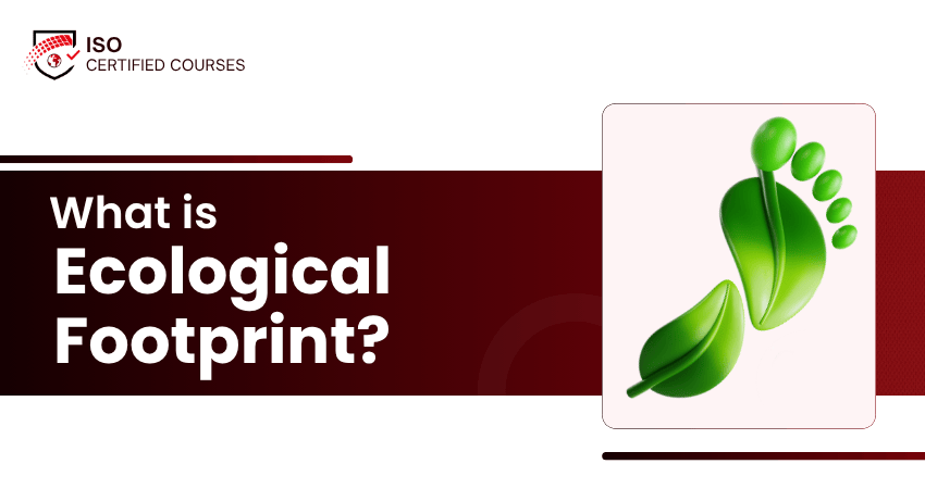 What is Ecological Footprint